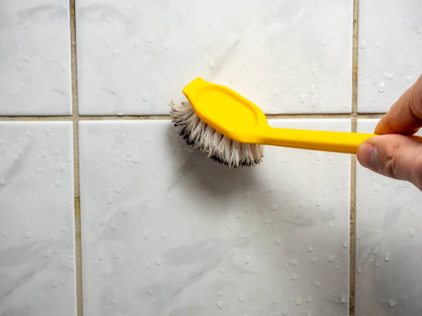 West Fairview, PA Mold Removal Company