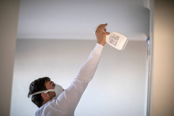 Attic Mold Removal in West Fairview, PA