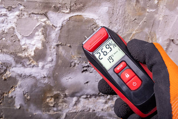 Mold Removal Process in West Fairview, PA